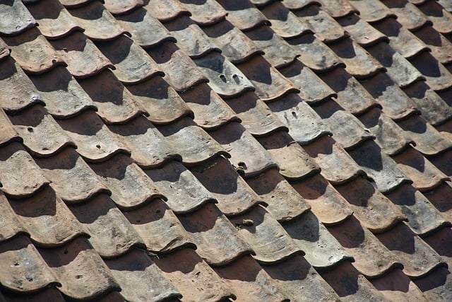 Roof Tiles - Our Home Renovations