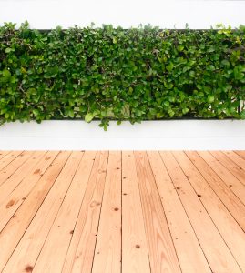 Vertical Garden - Our Home Renovations