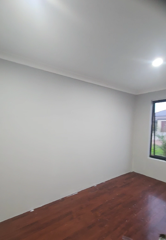 Painting Top Coat- Our Home Renovations